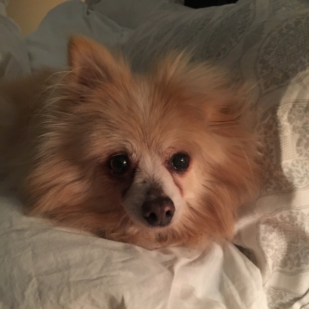 Meet your Posher, Katherine